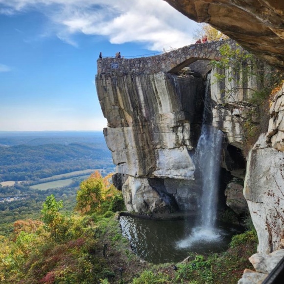 Meet the Artisan, Jo Allyn - Picture 11 of 15